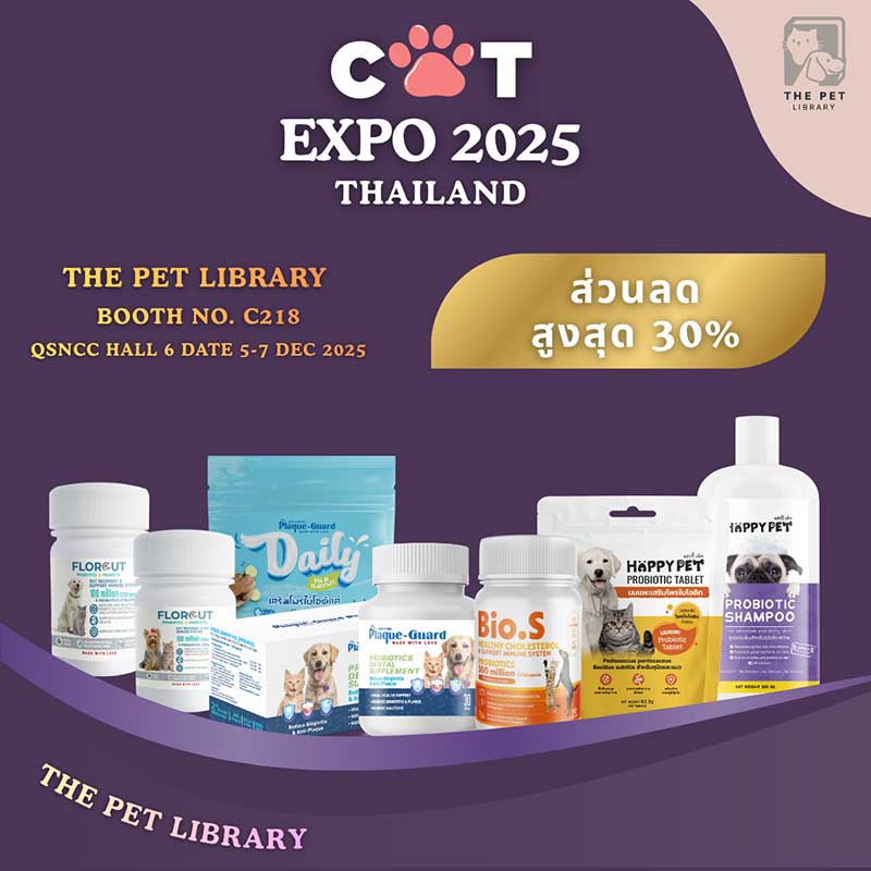 Cat Expo Thailand