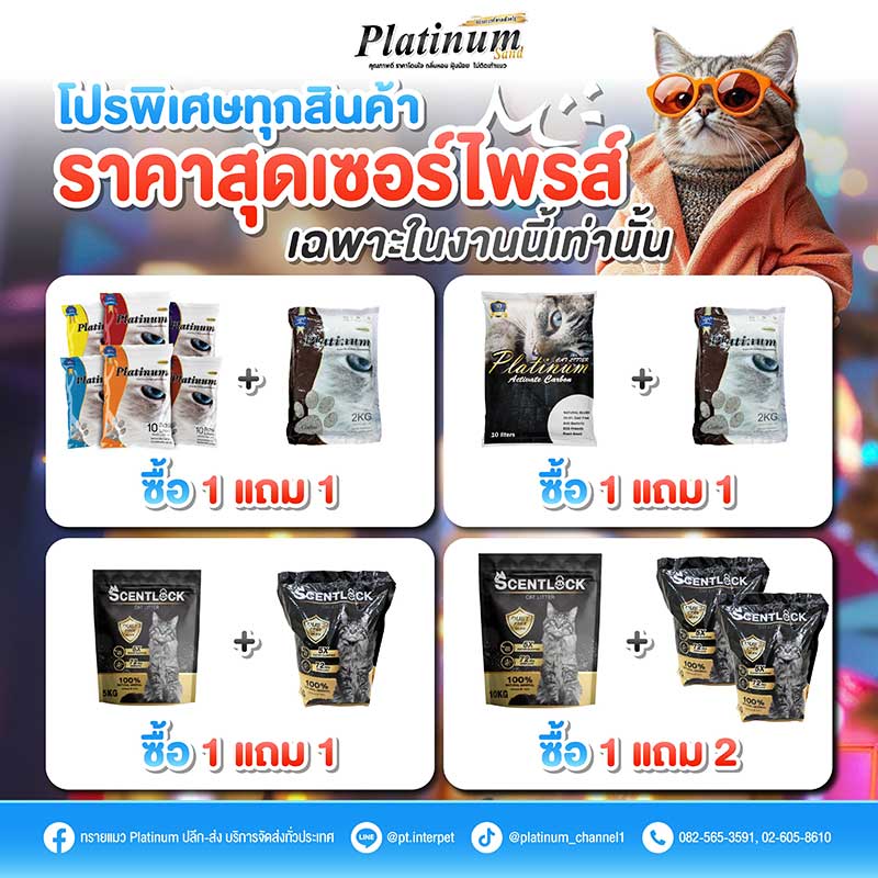 Cat Expo Thailand