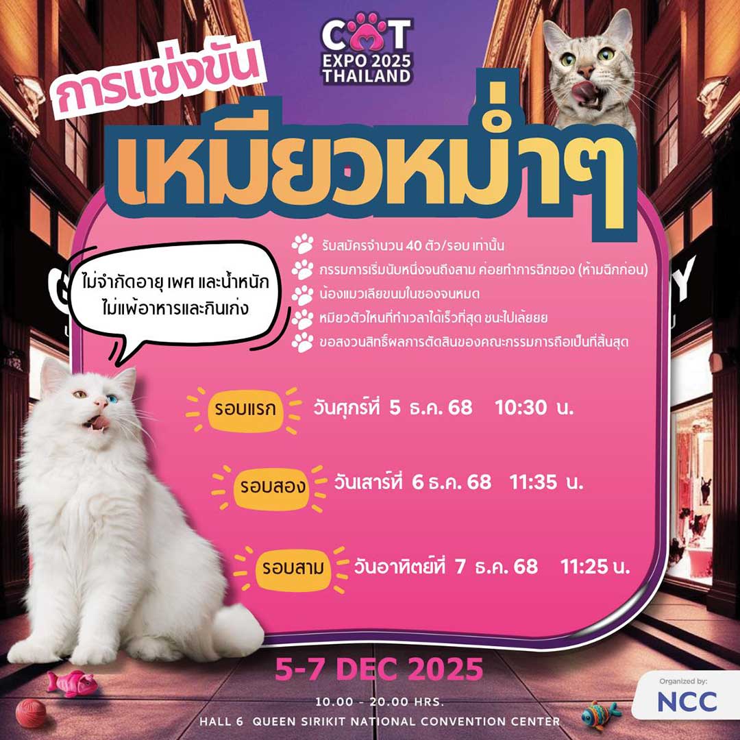 Cat Expo Thailand