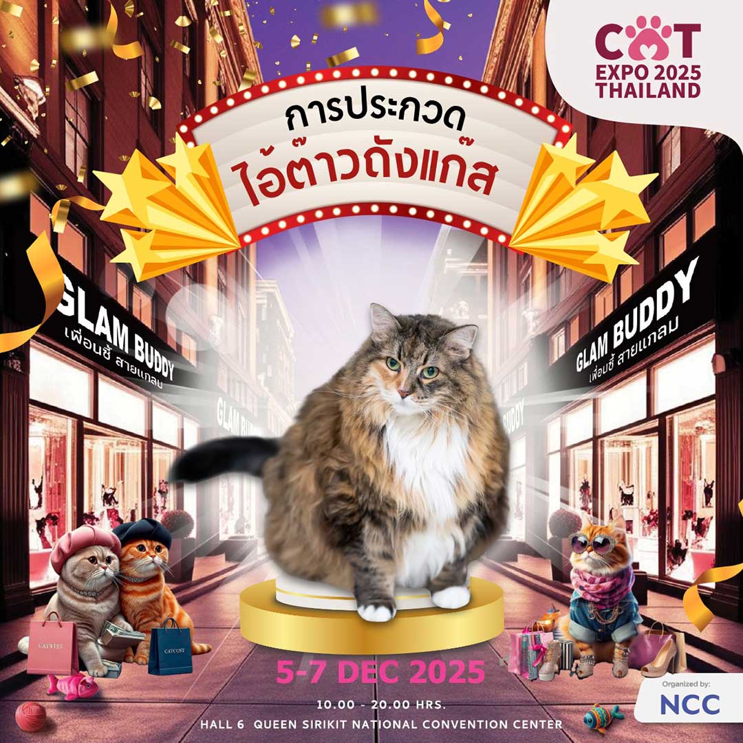 Cat Expo Thailand